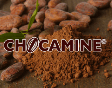 Why We Chose Chocamine®: The Secret Behind CHEERi's Sustained Energy