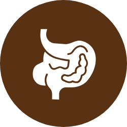 Digestive Support