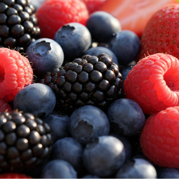 fruit berries close up shot