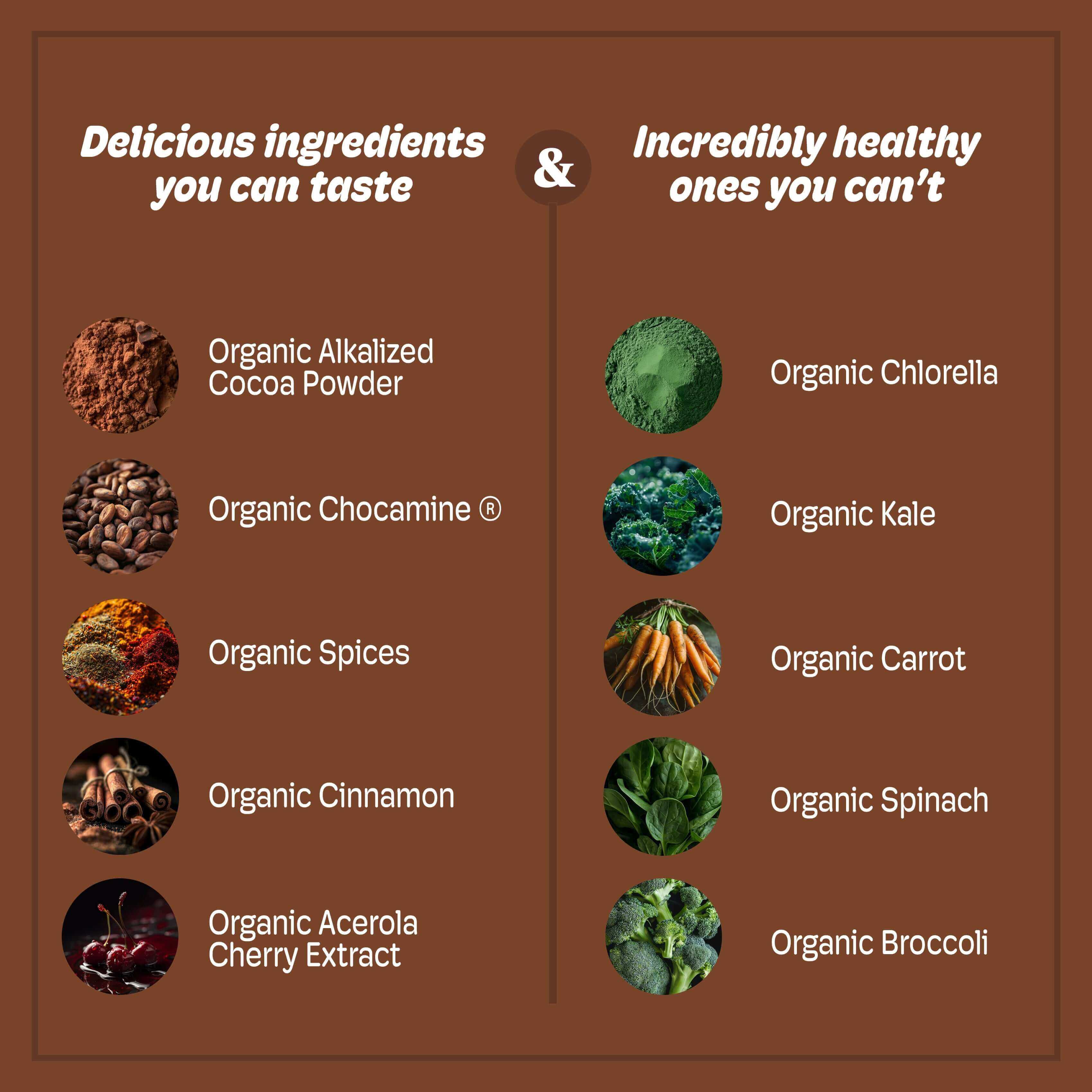 List of delicious and healthy ingredients in CHEERi™ Organic Chocolate Elixir, highlighting organic cocoa, spices, and superfoods.