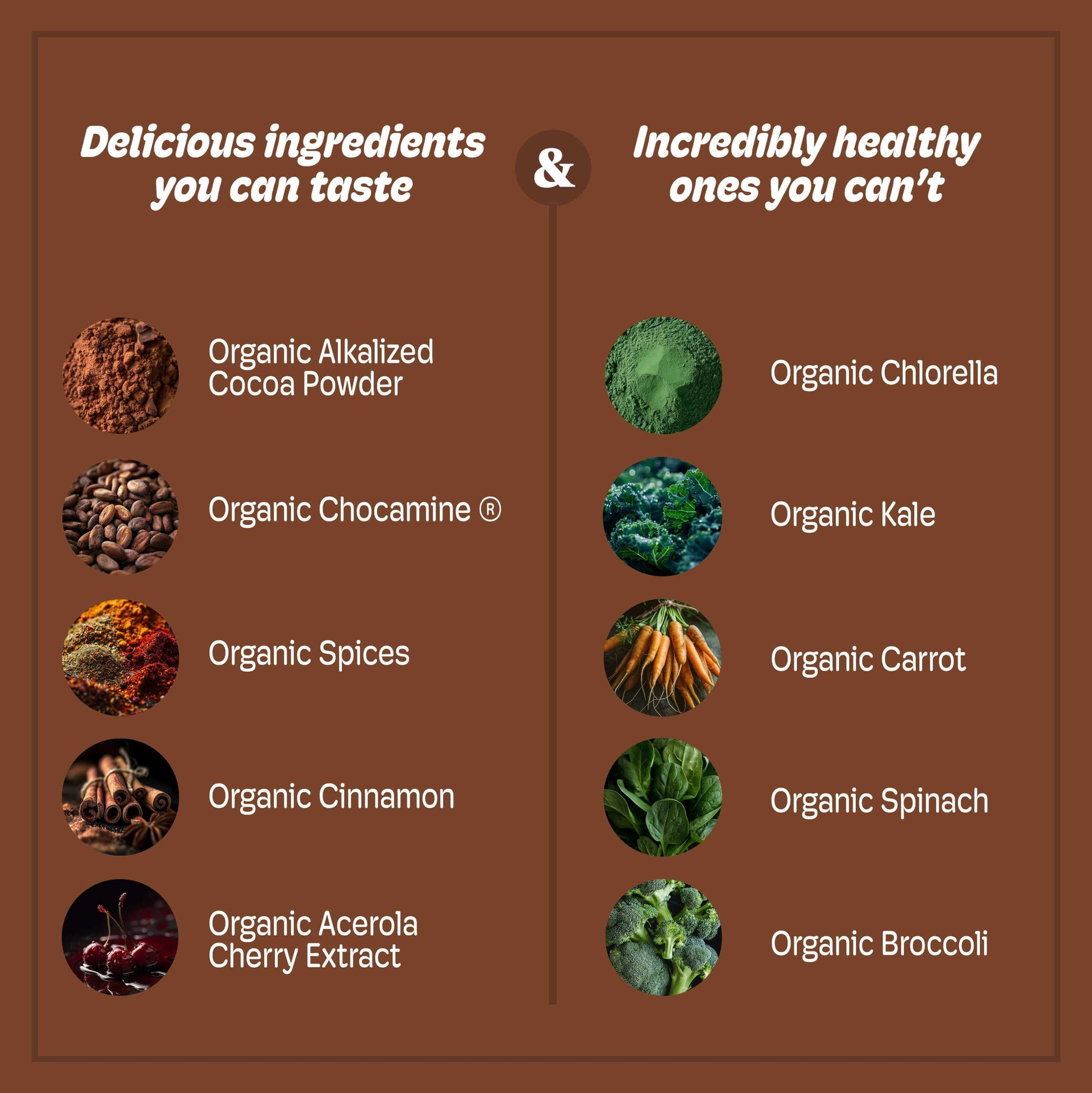 List of delicious and healthy ingredients in CHEERi™ Organic Chocolate Elixir, highlighting organic cocoa, spices, and superfoods.